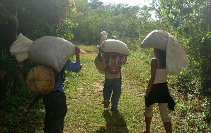 ElSalvadorfairtradecoffee.jpg