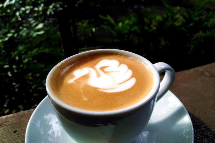 Ruta del café salvadoreño