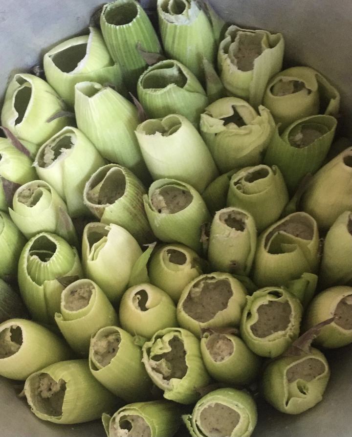 Tamales de elote.jpg